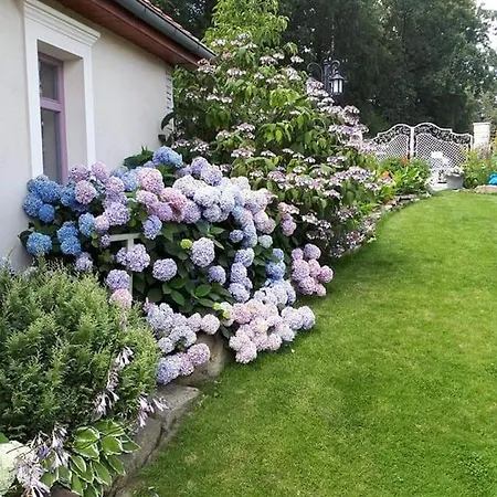 Hortensjowe Wzgorze * Myślenice